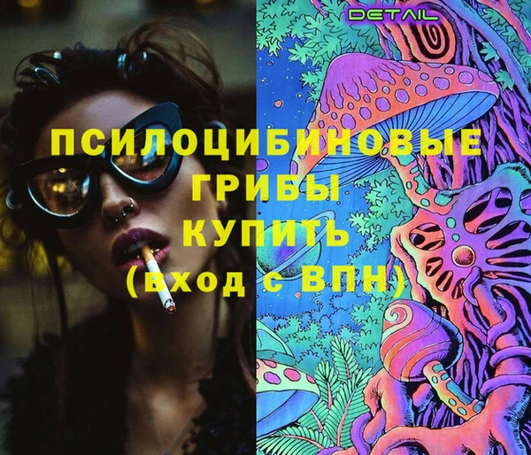 шишки Верхний Тагил